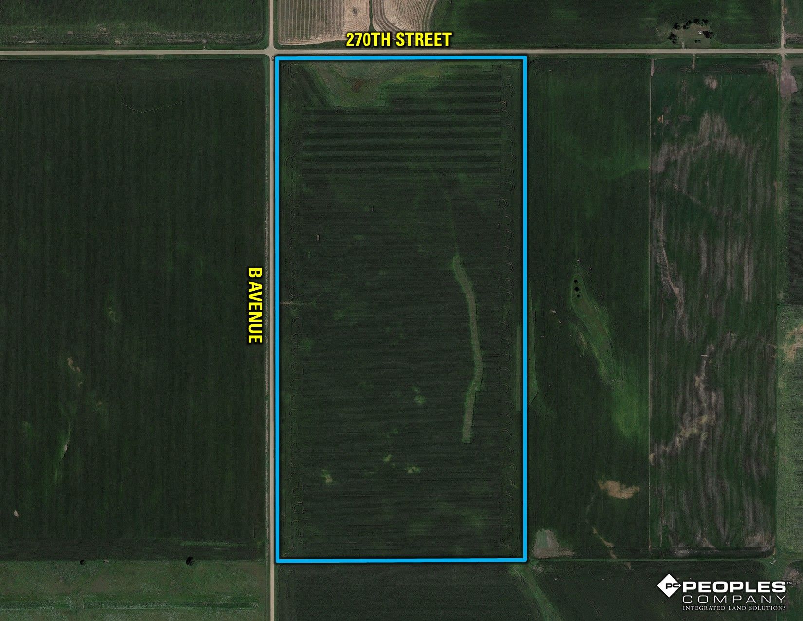 Listing Photo: Google Close Farm LOGO